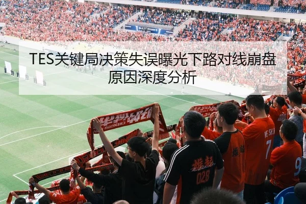 TES关键局决策失误曝光下路对线崩盘原因深度分析