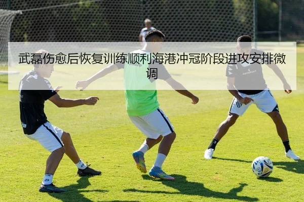 武磊伤愈后恢复训练顺利海港冲冠阶段进攻安排微调