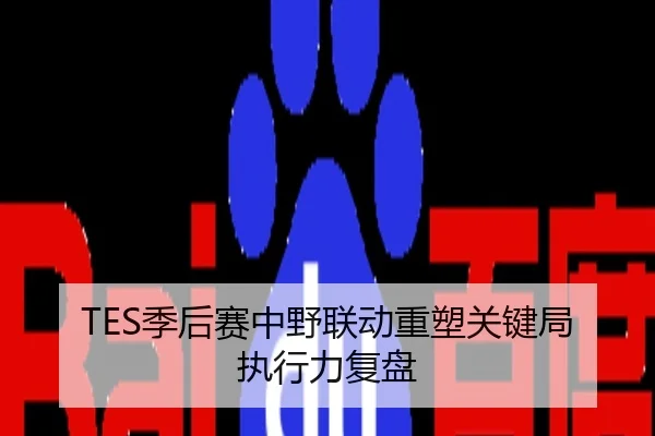 TES季后赛中野联动重塑关键局执行力复盘